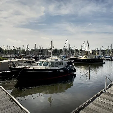 Hampshire - Newport 4*